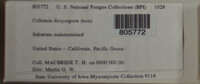 Image Associated With the Occurence